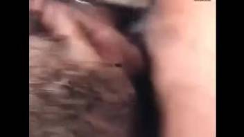 Aroused guy anally penetrates a female goat on the farm with relentless energy