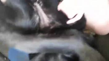 Guy bangs a monster's steamy slit with his massive dick