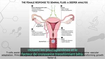 Instructional clip exploring top-tier bestiality