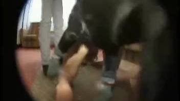 Secret camera recorded female homosexuals engaging in bizarre erotic acts with a canine