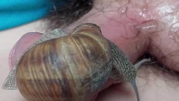 Snail fucking a guy's cock with its strange goo