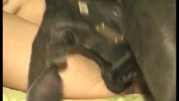 Young girl licks canine penis and thrusts it into her groomed vagina
