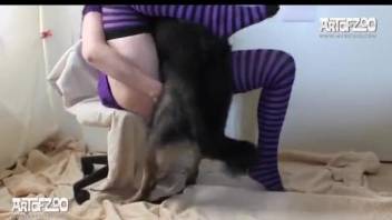 Masked female in striped socks blows her doggy's dick