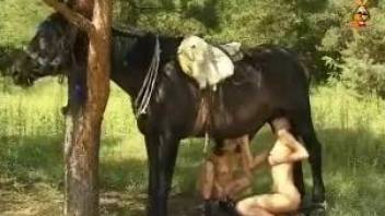 Two leggy chicks are having bestiality 3some with a horse