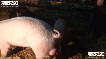 Filthy spouse craves intercourse with the swine