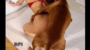 Bleached hooker gets nicely drilled by her doggy