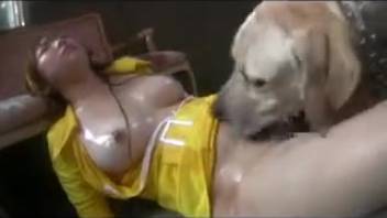 Japanese babe with a bushy cunt screws a well-endowed mutt