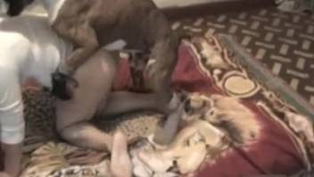 Solitary housewife aggressively fucked by canine on webcam