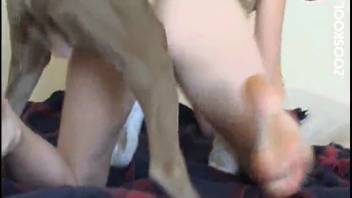 Canine penetrates young girl 18+ in her vagina and ejaculates inside her