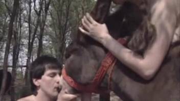 Donkey porn scenes and dog zoophilia on cam